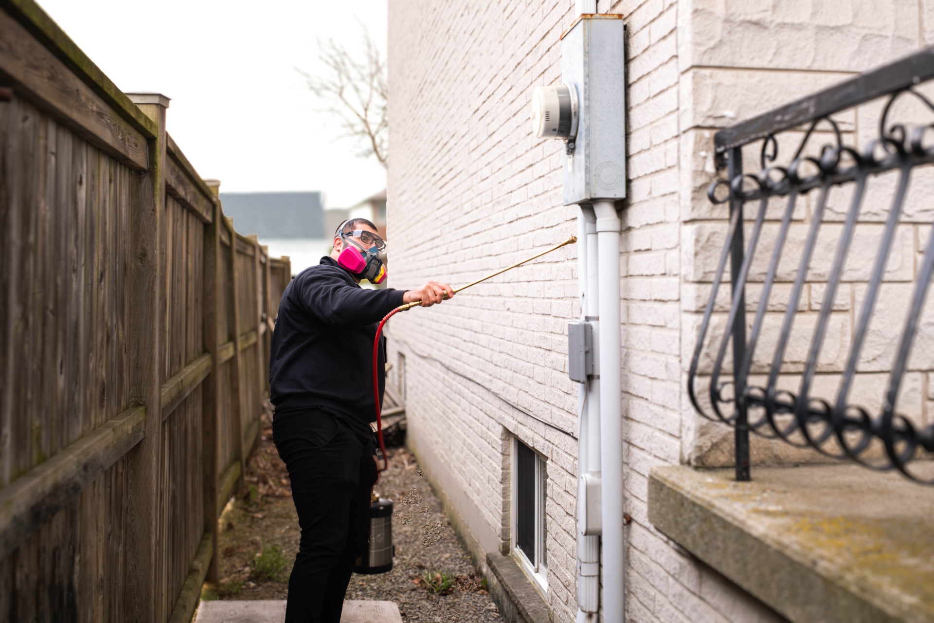 Residential Pest Control Services | AMW Pest Control